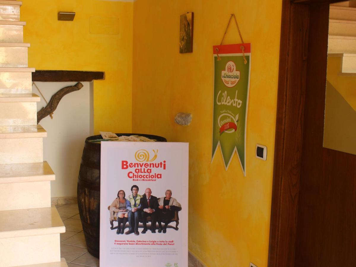 La Chiocciola Bed & Breakfast Trentinara ภายนอก รูปภาพ